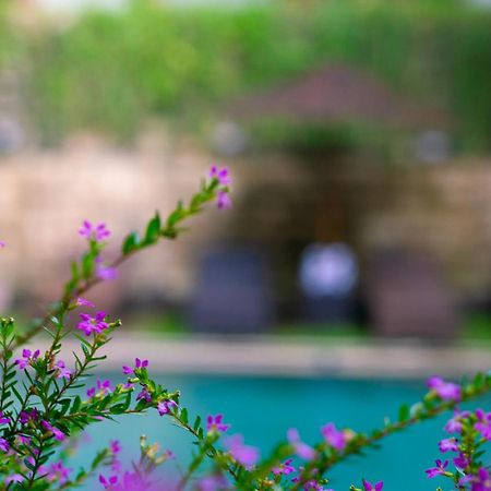 Karang Lila Bhuana Ubud Ngoại thất bức ảnh