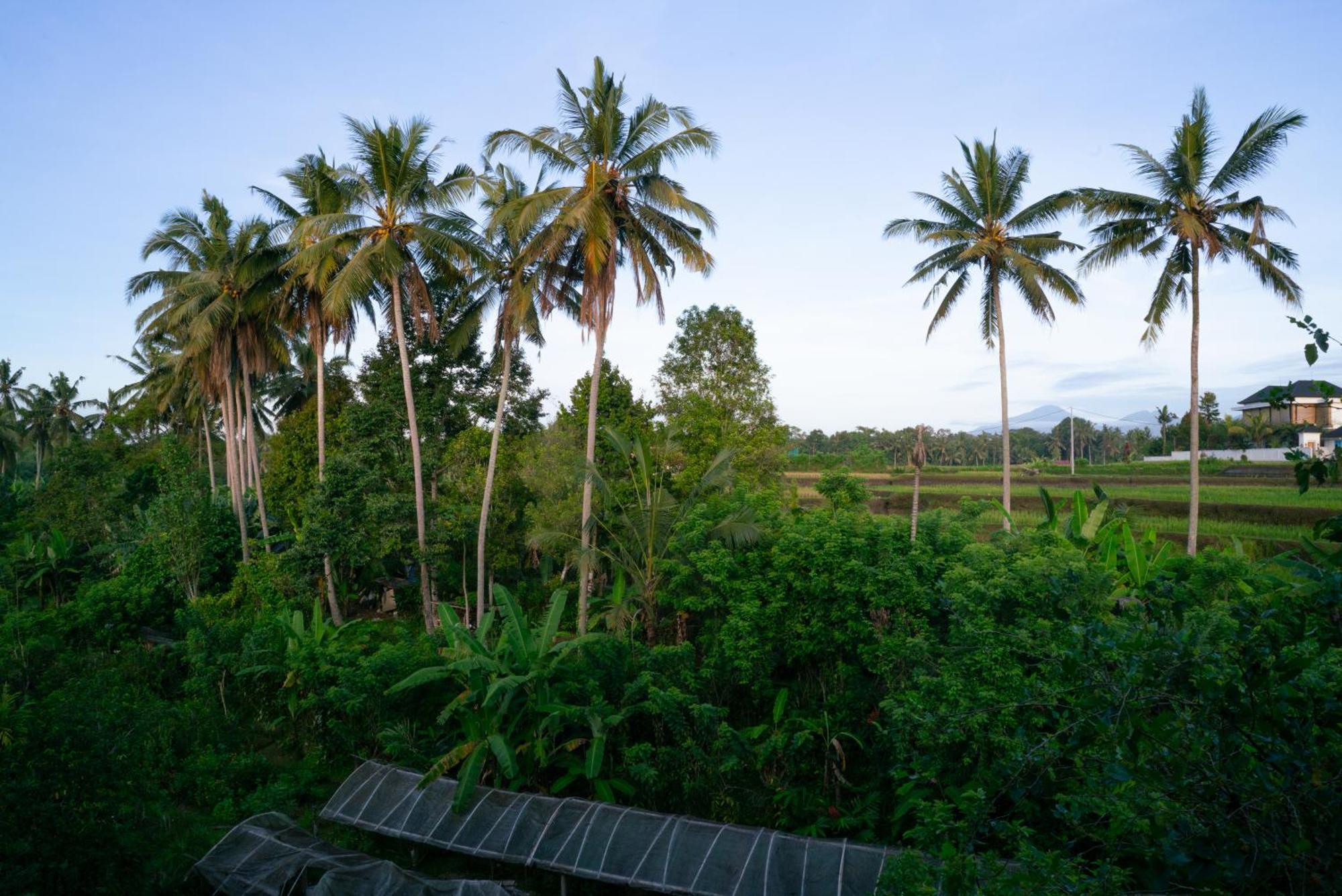 Karang Lila Bhuana Ubud Ngoại thất bức ảnh
